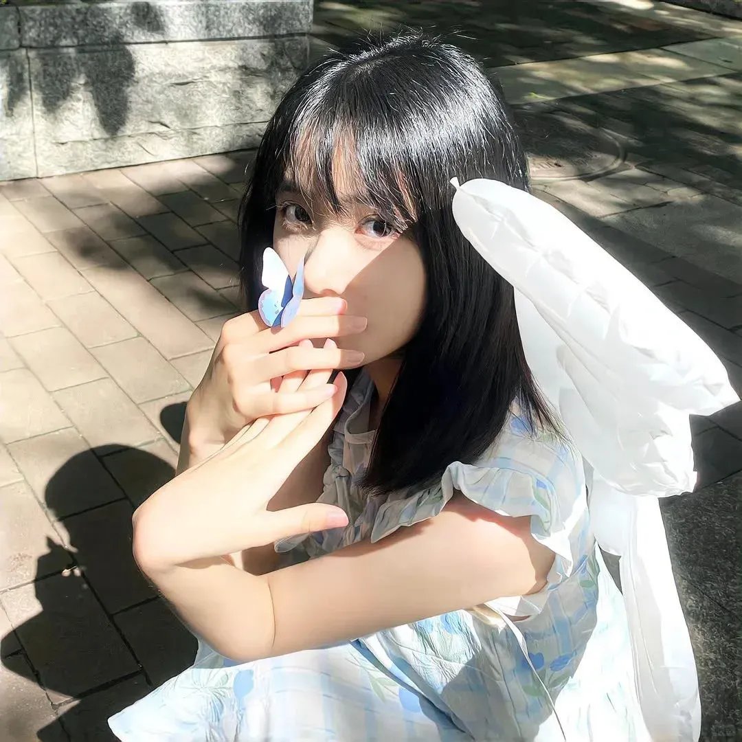 柴生芳海报